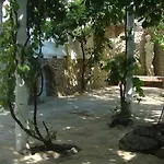 Jungle * Odessa