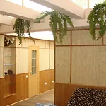 Jungle Lägenhet