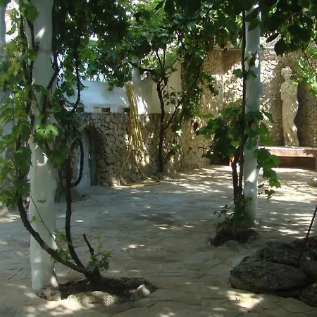 Jungle * Odesa