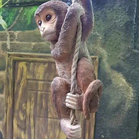 Jungle *