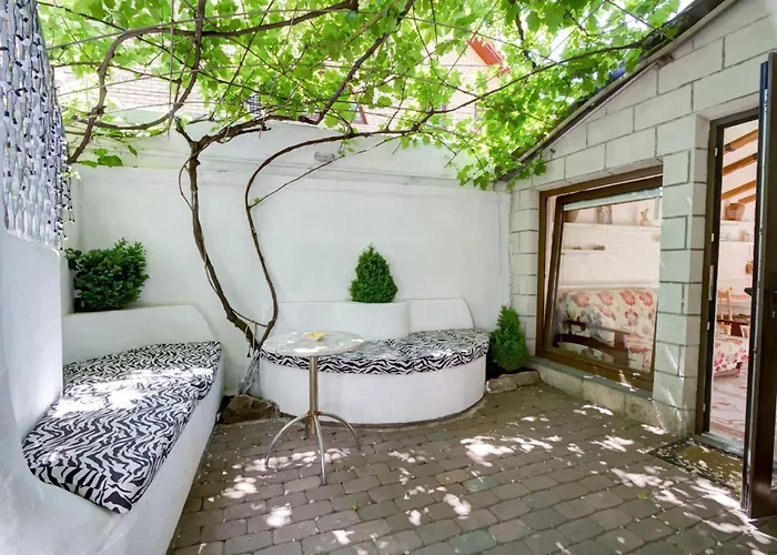 Jungle Apartment Odesa