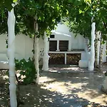 Jungle Apartmán