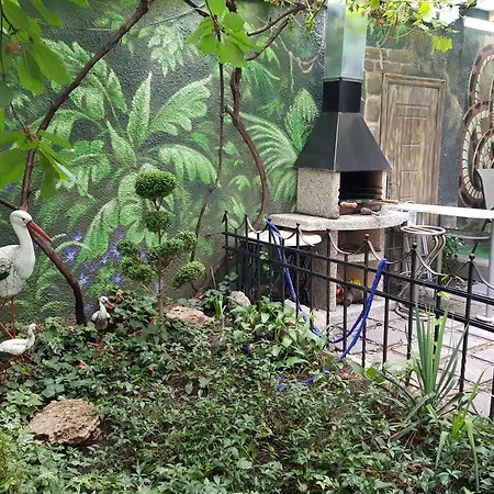 Jungle Oděsa