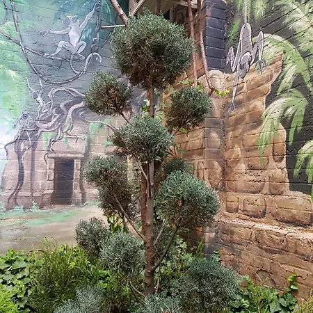 Apartmán Jungle